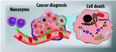 Graphical abstract: Therapeutic applications of multifunctional nanozymes