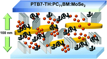 Graphical abstract: Hydrogen plasma-treated MoSe2 nanosheets enhance the efficiency and stability of organic photovoltaics