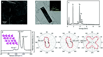 Graphical abstract: Anomalous phase transition behavior in hydrothermal grown layered tellurene