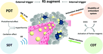 Graphical abstract: Recent progress in the augmentation of reactive species with nanoplatforms for cancer therapy