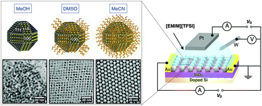 Graphical abstract: Tunable electronic properties by ligand coverage control in PbS nanocrystal assemblies