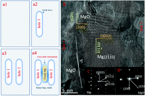 Graphical abstract: Atomic-scale oxidation mechanisms of single-crystal magnesium