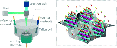 Graphical abstract: S-Edge-rich MoxSy arrays vertically grown on carbon aerogels as superior bifunctional HER/OER electrocatalysts