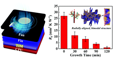 Graphical abstract: Tree-inspired radially aligned, bimodal graphene frameworks for highly efficient and isotropic thermal transport