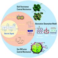 Graphical abstract: Gas sensing mechanisms of metal oxide semiconductors: a focus review