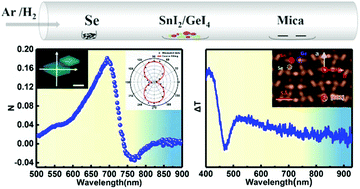 Graphical abstract: Synthesis of low-symmetry 2D Ge(1−x)SnxSe2 alloy flakes with anisotropic optical response and birefringence