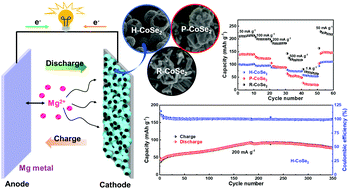 Graphical abstract: CoSe2 hollow microspheres, nano-polyhedra and nanorods as pseudocapacitive Mg-storage materials with fast solid-state Mg2+ diffusion kinetics