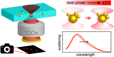 Graphical abstract: Optical tweezers-based characterisation of gold core–satellite plasmonic nano-assemblies incorporating thermo-responsive polymers