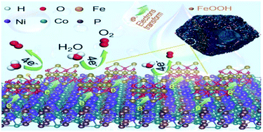 Graphical abstract: Engineering the coupling interface of rhombic dodecahedral NiCoP/C@FeOOH nanocages toward enhanced water oxidation