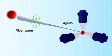 Graphical abstract: Excitation and analyzation of different surface plasmon modes on a suspended Ag nanowire