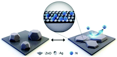 Graphical abstract: An unexpected surfactant role of immiscible nitrogen in the structural development of silver nanoparticles: an experimental and numerical investigation