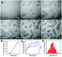 Graphical abstract: A unique pathway of PtNi nanoparticle formation observed with liquid cell transmission electron microscopy