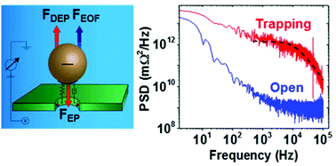 Graphical abstract: Characterization and manipulation of single nanoparticles using a nanopore-based electrokinetic tweezer