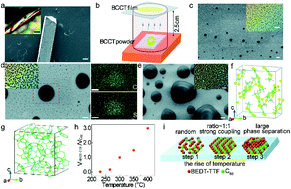 Graphical abstract: Multifunctional molecular charge-transfer thin films