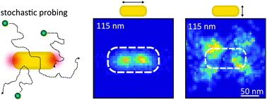 Graphical abstract: Isolating strong nanoantenna–molecule interactions by ensemble-level single-molecule detection