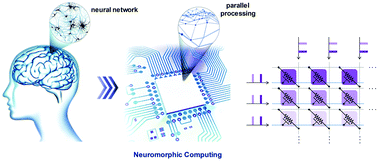 Graphical abstract: Parallel weight update protocol for a carbon nanotube synaptic transistor array for accelerating neuromorphic computing