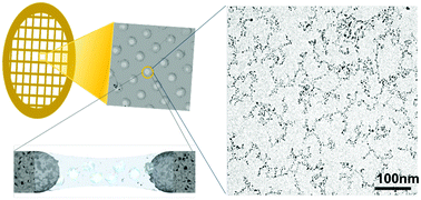 Graphical abstract: Dynamic self-assembly of detonation nanodiamond in water