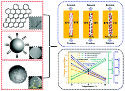 Graphical abstract: Influence of functionalized core–shell structure on the thermodynamic and shape memory properties of nanocomposites