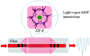 Graphical abstract: Nanoscale light–matter interactions in metal–organic frameworks cladding optical fibers