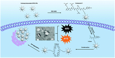 Graphical abstract: Enzyme-instructed self-aggregation of Fe3O4 nanoparticles for enhanced MRI T2 imaging and photothermal therapy of tumors