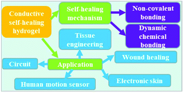 Graphical abstract: Self-healing conductive hydrogels: preparation, properties and applications