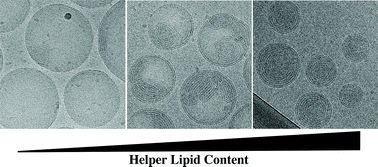 Graphical abstract: On the role of helper lipids in lipid nanoparticle formulations of siRNA