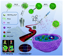 Graphical abstract: One-pot synthesis of Ln3+-doped porous BiF3@PAA nanospheres for temperature sensing and pH-responsive drug delivery guided by CT imaging