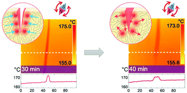 Graphical abstract: Defect-targeted self-healing of multiscale damage in polymers