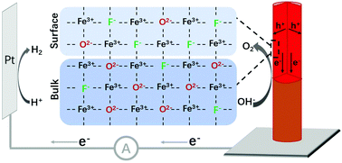 Graphical abstract: Activating a hematite nanorod photoanode via fluorine-doping and surface fluorination for enhanced oxygen evolution reaction