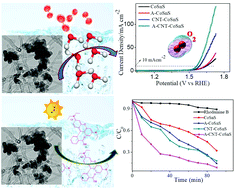 Graphical abstract: A three-dimensional porous CoSnS@CNT nanoarchitecture as a highly efficient bifunctional catalyst for boosted OER performance and photocatalytic degradation