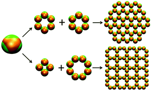 Graphical abstract: Kinetics-controlled design principles for two-dimensional open lattices using atom-mimicking patchy particles