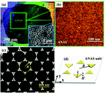 Graphical abstract: Plasmon-enhanced nonlinear nanofocusing of gold nanoprisms driven via an ultrafast azimuthal vector beam