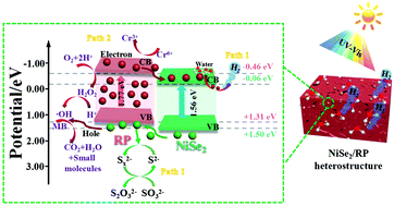 Graphical abstract: Porous honeycomb-like NiSe2/red phosphorus heteroarchitectures for photocatalytic hydrogen production