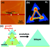 Graphical abstract: Direct bilayer growth: a new growth principle for a novel WSe2 homo-junction and bilayer WSe2 growth