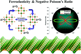 Graphical abstract: A new family of two-dimensional ferroelastic semiconductors with negative Poisson's ratios