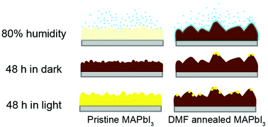 Graphical abstract: Microscopic investigations on the surface-state dependent moisture stability of a hybrid perovskite