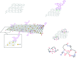 Graphical abstract: Radio- and nano-chemistry of aqueous Ga(iii) ions anchored onto graphene oxide-modified complexes