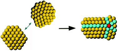 Graphical abstract: Structure and orientation effects in the coalescence of Au clusters