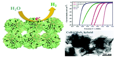 Graphical abstract: Synergistic effect of cobalt boride nanoparticles on MoS2 nanoflowers for a highly efficient hydrogen evolution reaction in alkaline media