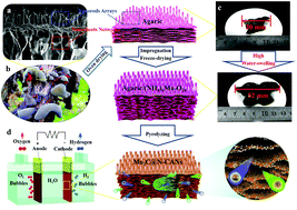 Graphical abstract: Agaric-derived N-doped carbon nanorod arrays@nanosheet networks coupled with molybdenum carbide nanoparticles as highly efficient pH-universal hydrogen evolution electrocatalysts