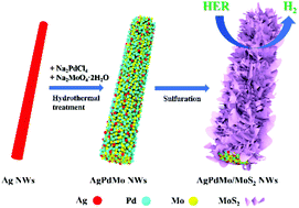 Graphical abstract: In situ surface-derivation of AgPdMo/MoS2 nanowires for synergistic hydrogen evolution catalysis in alkaline solution