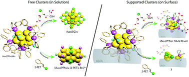 Graphical abstract: Ligand engineering of immobilized nanoclusters on surfaces: ligand exchange reactions with supported Au11(PPh3)7Br3