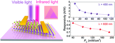 Graphical abstract: Epitaxial synthesis of ultrathin β-In2Se3/MoS2 heterostructures with high visible/near-infrared photoresponse