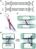 Graphical abstract: Graphene-extracted membrane lipids facilitate the activation of integrin αvβ8