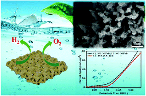 Graphical abstract: Nickel iron phosphide ultrathin nanosheets anchored on nitrogen-doped carbon nanoflake arrays as a bifunctional catalyst for efficient overall water splitting