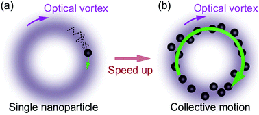 Graphical abstract: Effect of hydrodynamic inter-particle interaction on the orbital motion of dielectric nanoparticles driven by an optical vortex