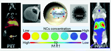 Graphical abstract: PLGA protein nanocarriers with tailor-made fluorescence/MRI/PET imaging modalities