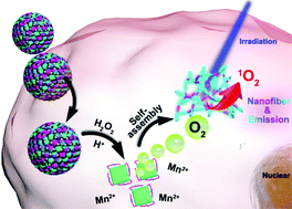 Graphical abstract: In situ self-assembled biosupramolecular porphyrin nanofibers for enhancing photodynamic therapy in tumors