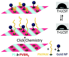 Graphical abstract: A nanopatterned dual reactive surface driven by block copolymer self-assembly