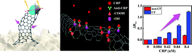 Graphical abstract: Bioactive multiple-bent MWCNTs for sensitive and reliable electrochemical detection of picomolar-level C-reactive proteins